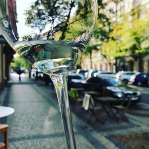 Nic není ernobílé a zde se pohybujeme na tenké hranici. Urité mnoství alkoholu me mít na tlo prospšný vliv, naopak vysoké jej me velmi poškozovat. Kadý lovk je individualita, není tak moné pesn urit míru. Kadý by ml mít své tlo pod kontrolou a vdt, co si me dovolit.
Zajímavostí, která uritý vliv vína a vlastn i gastronomie na zdraví ilustruje, je tzv. francouzský paradox. A Francouzi milují víno, pijí jej velmi asto v mnoství vtším ne malém, stolují o nkolika chodech, v jejich jídelníku mají místo vci jako velmi tuné sýry, paštiky i kachní speciality, nemá to negativní vliv na jejich zdraví se smyslu vysokého výskytu srdeních a cevních onemocnní. Pokud tomu pomáhá konzumace vína, o kterém se íká, e má na srdce blahodárný vliv, vyvauje jeho klady daleko vtší podíl jaterních onemocnní ve francouzské populaci.